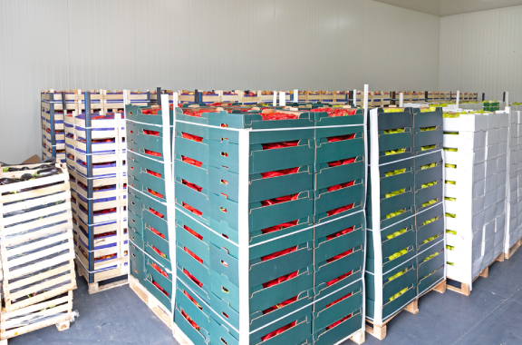 الدعم اللوجيستي والتخزين